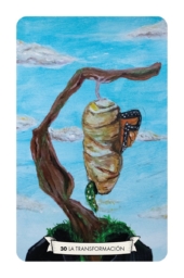 card-13